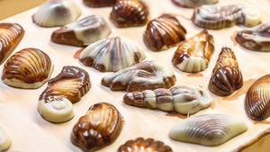 Guylian The Original Seashells 22 Chocolates with Hazelnut Praliné Filling - 250g