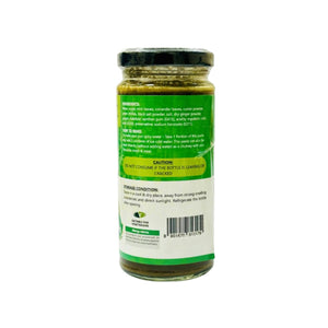 Saras Pani Puri Chutney 250g