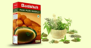 Badshah Panipuri Masala - 100g